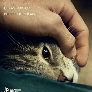 Photo Tomcat