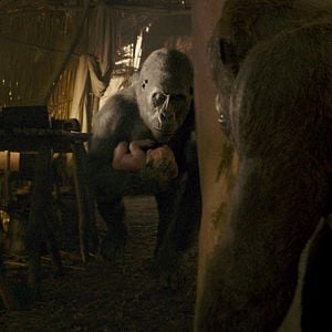 Photo Tarzan