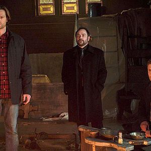 Photo Mark Sheppard