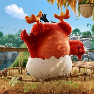 Angry Birds - Le Film - Film 2016 - AlloCiné