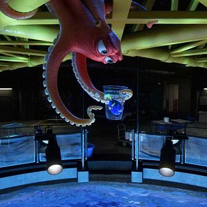 Photo Le Monde de Dory