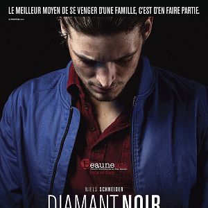 Photo DIamant Noir