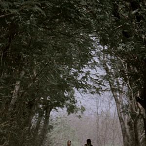 Photo Sauvage