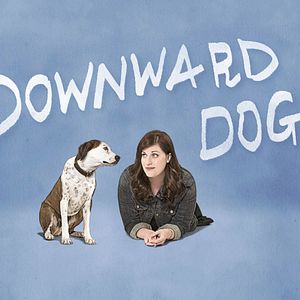 Photo Downward Dog