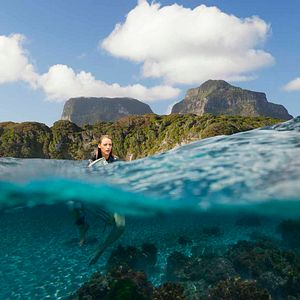 Photo Instinct de survie - The Shallows