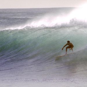 Photo The Endless Summer