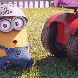 Photo Minions en herbe