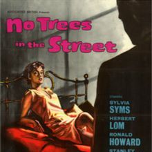 Photo No Trees in the street