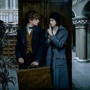 Photo Katherine Waterston