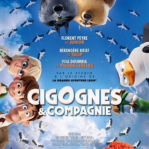 Photo Cigognes et compagnie