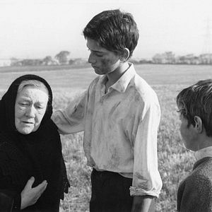 Photo Stephen Archibald