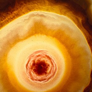 Photo Voyage of Time : Au fil de la vie