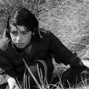 Photo Nadine Nortier