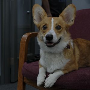 Photo Dirk Gently, détective holistique