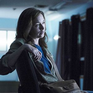 Photo Julianne Nicholson