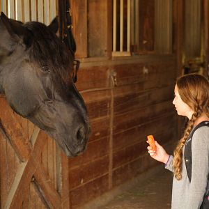 Photo Alexis Rosinsky