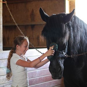 Photo Alexis Rosinsky