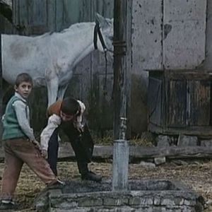 Photo Ahmed Ahmed Poor