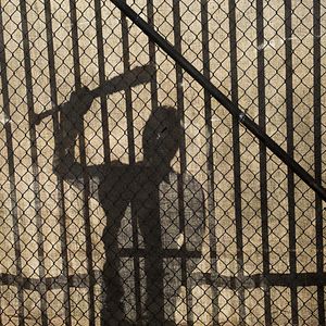 Photo The Walking Dead