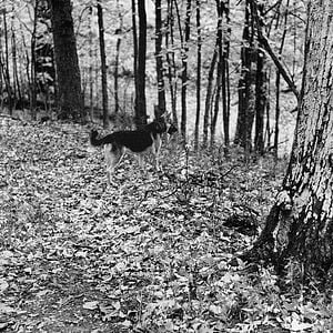 Photo Look & See: A Portrait of Wendell Berry
