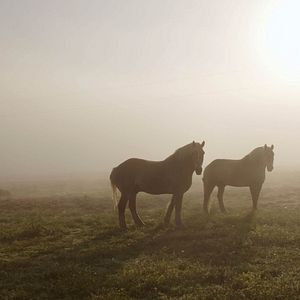 Photo Look & See: A Portrait of Wendell Berry