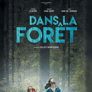 Photo Dans La Forêt