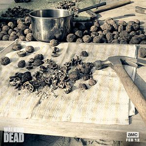 Photo The Walking Dead