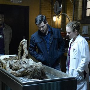 Photo David Giuntoli