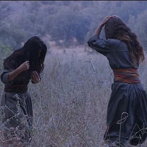 Photo Terre de roses