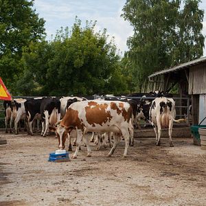 Photo Les Pieds sur terre