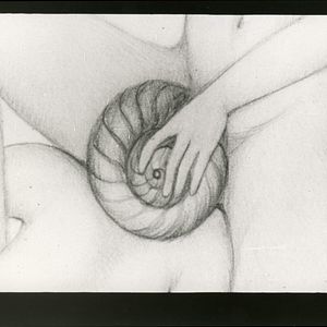Photo L’ Escargot de Vénus
