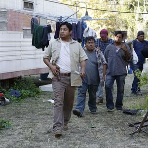 Photo American Crime