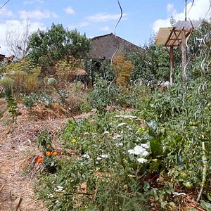 Photo L'éveil de la permaculture