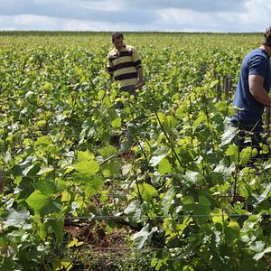 Photo Jean-Marc Roulot