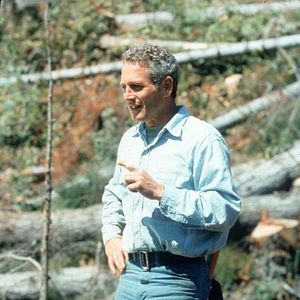 Photo Paul Newman
