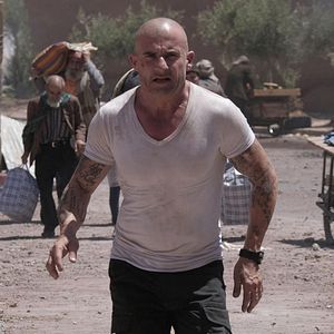 Photo Dominic Purcell