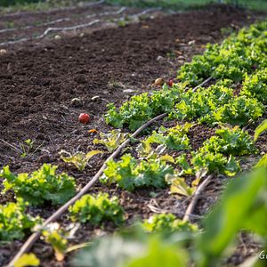 Photo Zéro Phyto 100% Bio