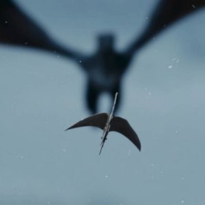 Photo Dragon inside me
