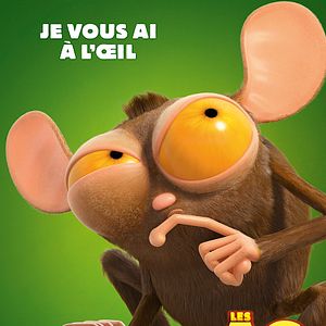 Photo Les As de la Jungle