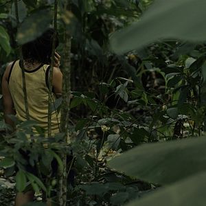 Photo Damiana