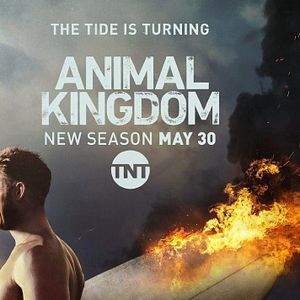 Photo Animal Kingdom