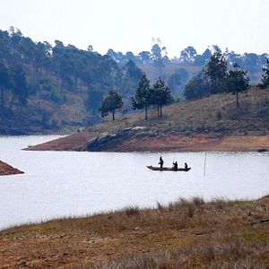 Photo Songs for Madagascar