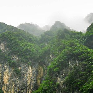 Photo Nés en Chine