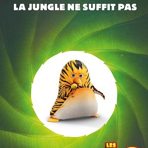 Photo Les As de la Jungle