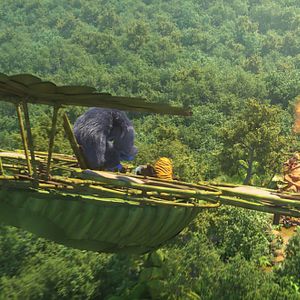 Photo Les As de la Jungle