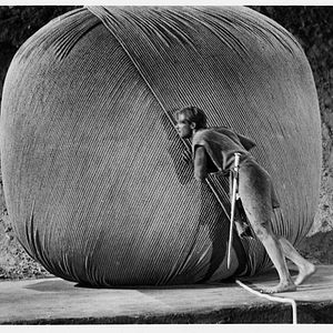 Photo Grant Williams