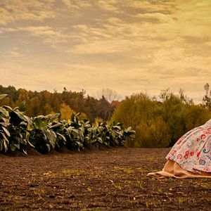 Photo Emily Browning