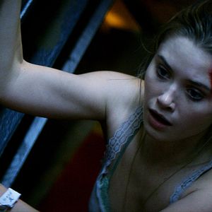 Photo Virginia Gardner