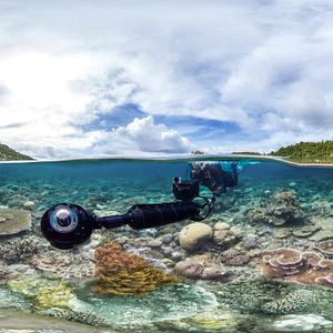 Photo Chasing Coral