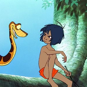 Photo Le Livre de la jungle